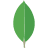 MongoDB Logo